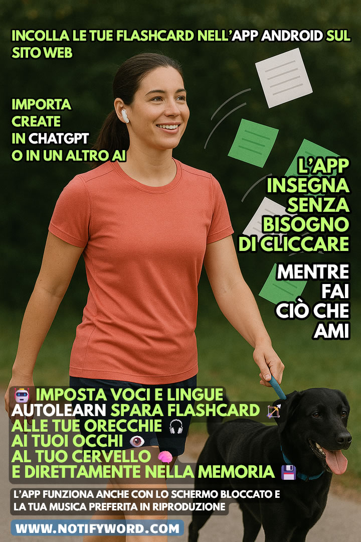 AUTOLEARN lancia le flashcard — nelle tue orecchie 🎧, nei tuoi occhi 👁️, nella tua testa 🧠 e direttamente nella memoria 💾